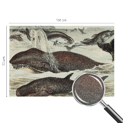 Papel de parede para sala criaturas marinhas