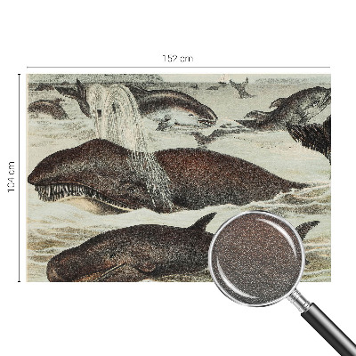 Papel de parede para sala criaturas marinhas