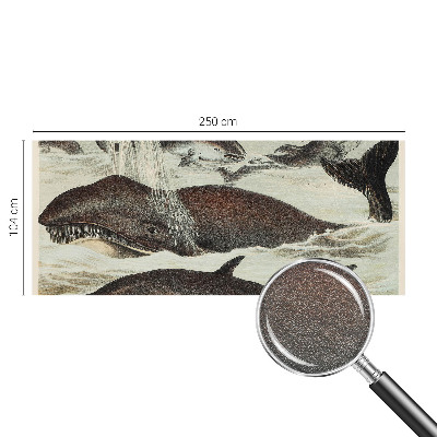 Papel de parede para sala criaturas marinhas