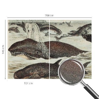 Papel de parede para sala criaturas marinhas