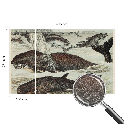 Papel de parede para sala criaturas marinhas
