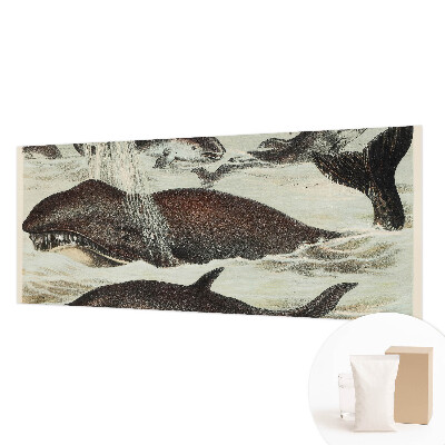 Papel de parede para sala criaturas marinhas