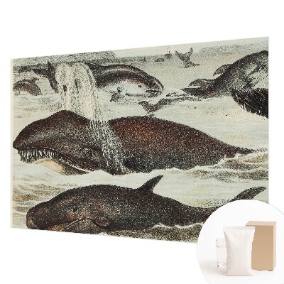Papel de parede para sala criaturas marinhas