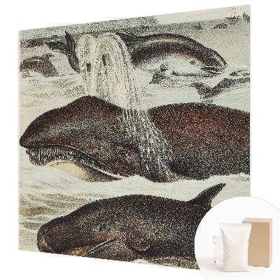 Papel de parede para sala criaturas marinhas