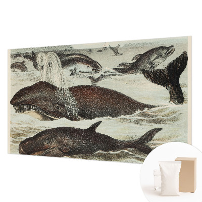Papel de parede para sala criaturas marinhas