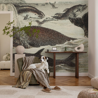 Papel de parede para sala criaturas marinhas