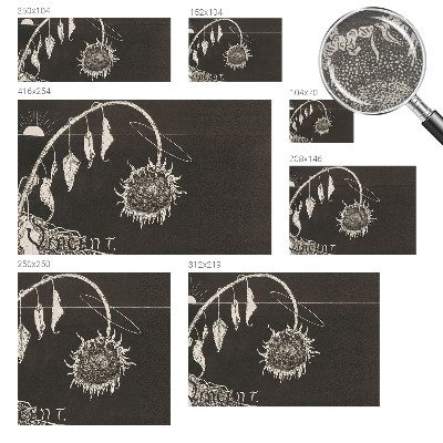 Mural fotográfico Girassol nostálgico