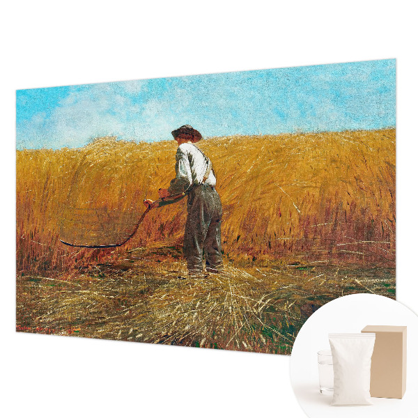 Mural de fotos na parede Colheita ao sol