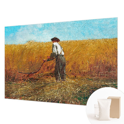 Mural de fotos na parede Colheita ao sol