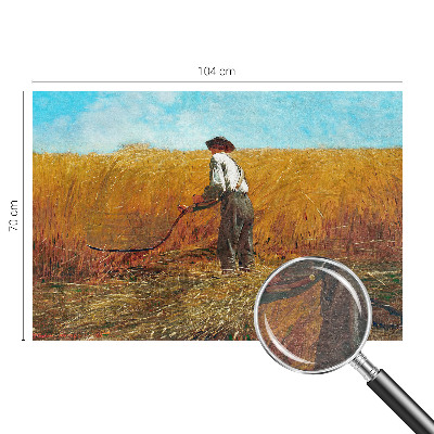 Mural de fotos na parede Colheita ao sol