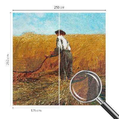 Mural de fotos na parede Colheita ao sol