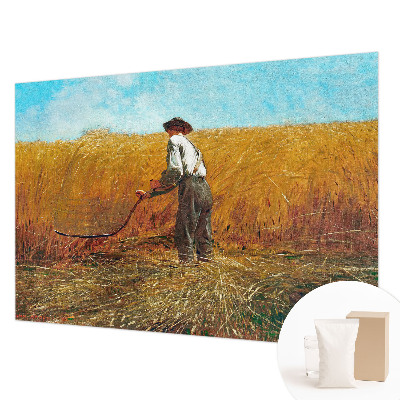 Mural de fotos na parede Colheita ao sol