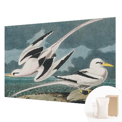 Papel de parede para quarto Pássaros à beira-mar
