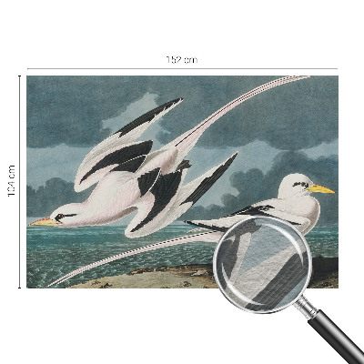 Papel de parede para quarto Pássaros à beira-mar