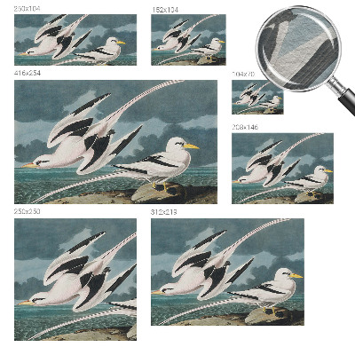 Papel de parede para quarto Pássaros à beira-mar