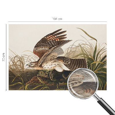 Papel de parede decorativo Beleza Alada