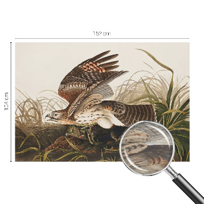 Papel de parede decorativo Beleza Alada