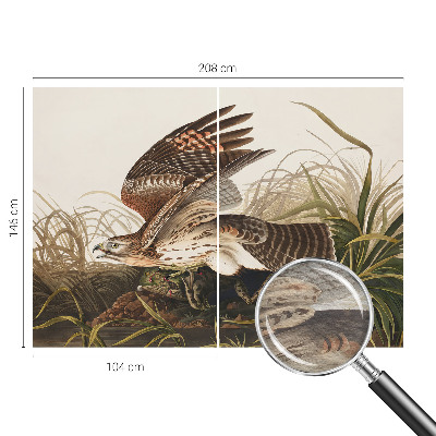 Papel de parede decorativo Beleza Alada