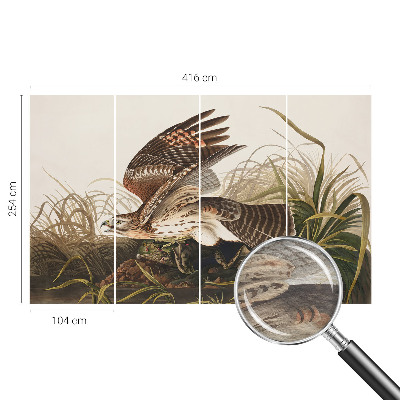 Papel de parede decorativo Beleza Alada