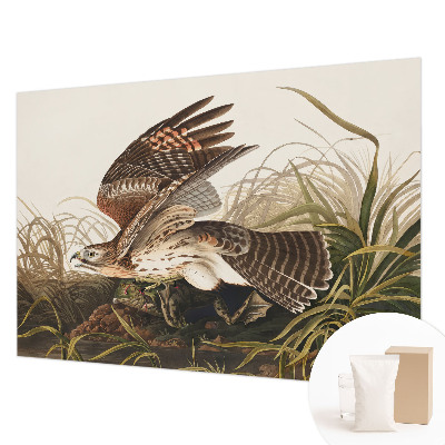 Papel de parede decorativo Beleza Alada