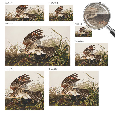 Papel de parede decorativo Beleza Alada