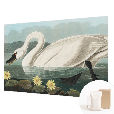 Papel de parede Cisne e nenúfares