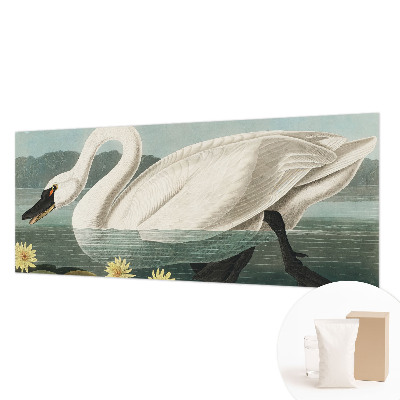 Papel de parede Cisne e nenúfares