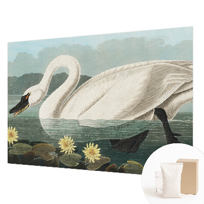 Papel de parede Cisne e nenúfares