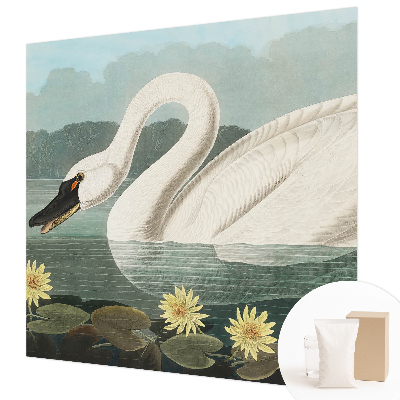 Papel de parede Cisne e nenúfares