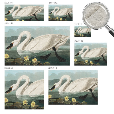 Papel de parede Cisne e nenúfares