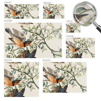 Mural de parede Pássaros coloridos