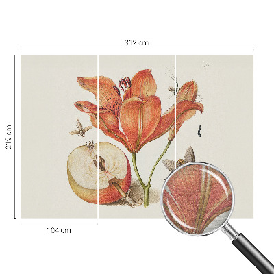 Mural fotográfico Ilustração botânica