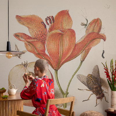 Mural fotográfico Ilustração botânica