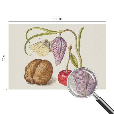 Papel de parede Planta borboleta