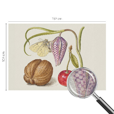 Papel de parede Planta borboleta