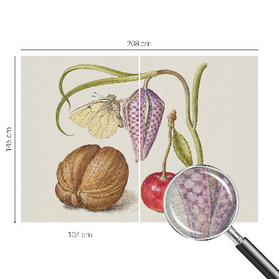 Papel de parede Planta borboleta