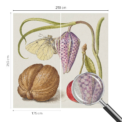 Papel de parede Planta borboleta