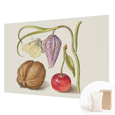 Papel de parede Planta borboleta