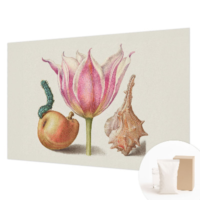 Mural de fotos na parede Simbiose natural