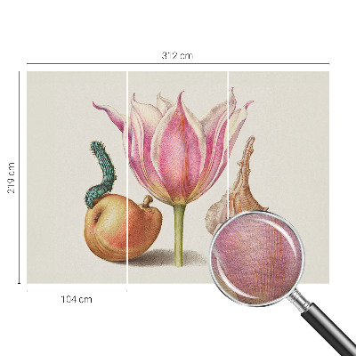 Mural de fotos na parede Simbiose natural