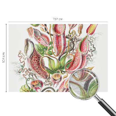 Mural de parede Detalhes da planta