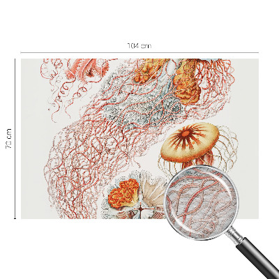 Fotomural Água-viva sofisticada