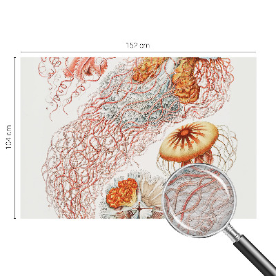 Fotomural Água-viva sofisticada
