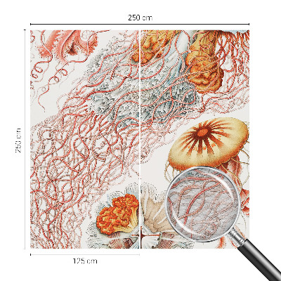 Fotomural Água-viva sofisticada