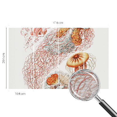 Fotomural Água-viva sofisticada