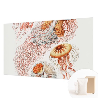 Fotomural Água-viva sofisticada