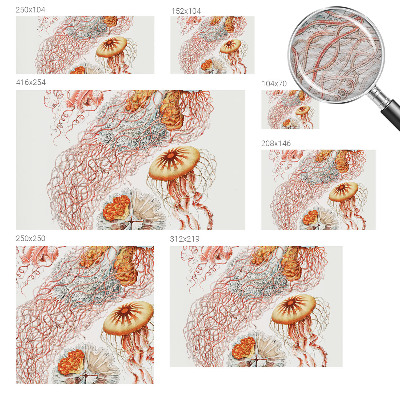Fotomural Água-viva sofisticada