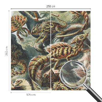 Mural de fotos na parede Répteis exóticos