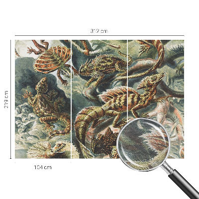 Mural de fotos na parede Répteis exóticos