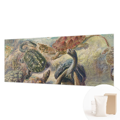 Papel de parede para sala Fauna de tartarugas